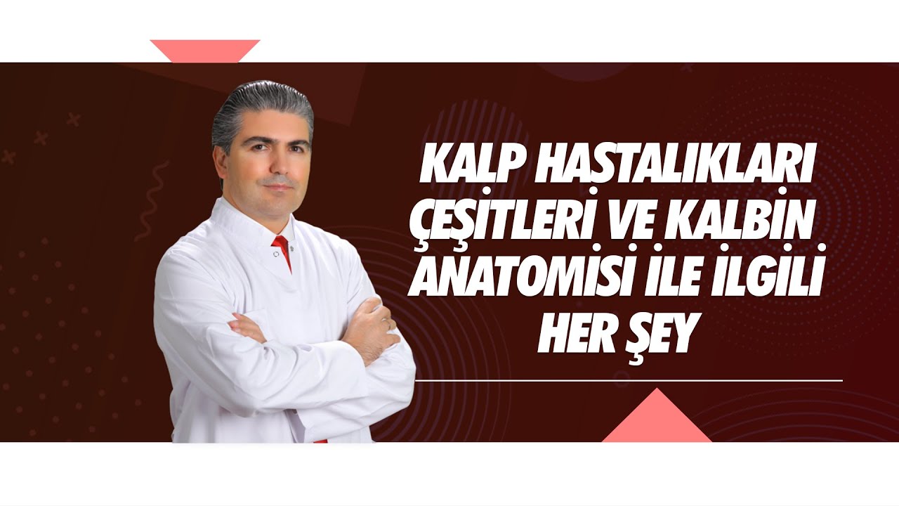 Kalp Hastalıkları &Ccedil;eşitleri ve Kalbin Anatomisi ile ilgili her şey.