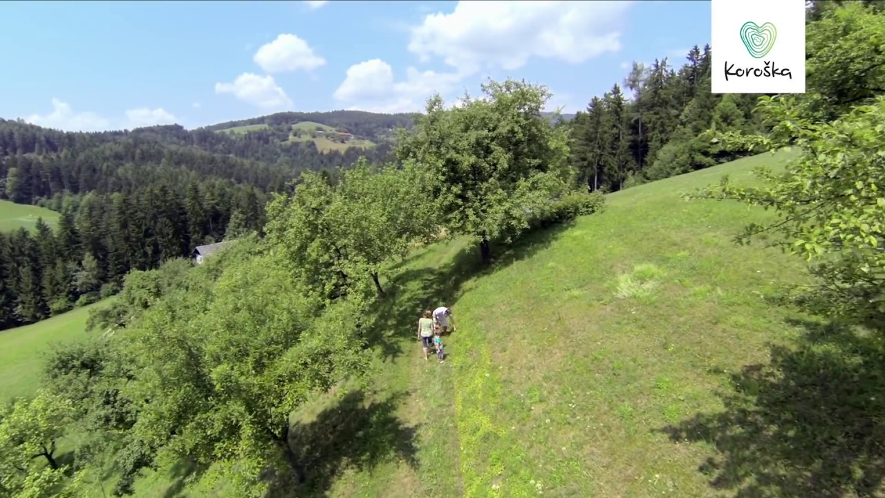 Koroška. Zakladnica presenečenj (2013) / Koroška. Takes you by surprise (2013)