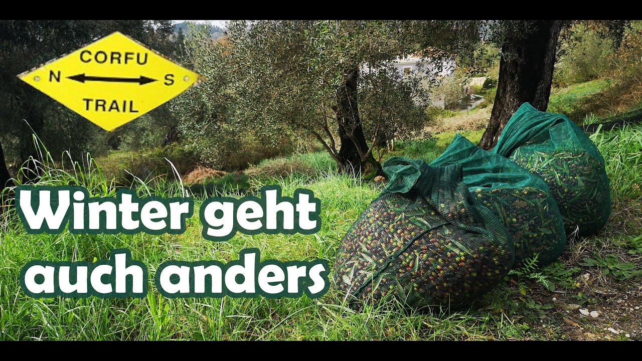 Ein Eisvogel sorgt für warme Tage - Angelokastro & der Corfu Trail im Winter - Griechenland Teil 3