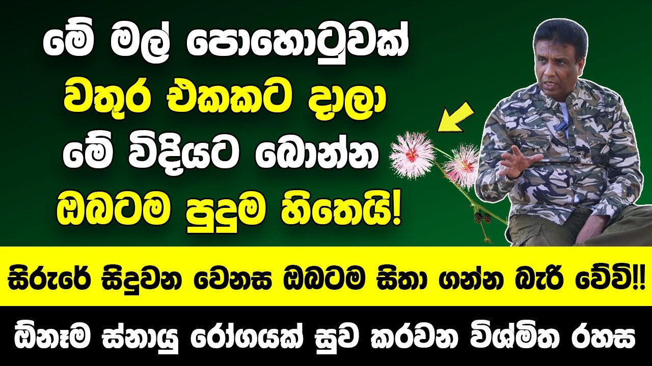 මෙන්න මේ මල් පොහොටුවක් වතුර එකකට දාලා බොන්න | ඔබේ සිරුරේ සිදුවන වෙනස ඔබටම සිතා ගන්න බැරි වේවි!!