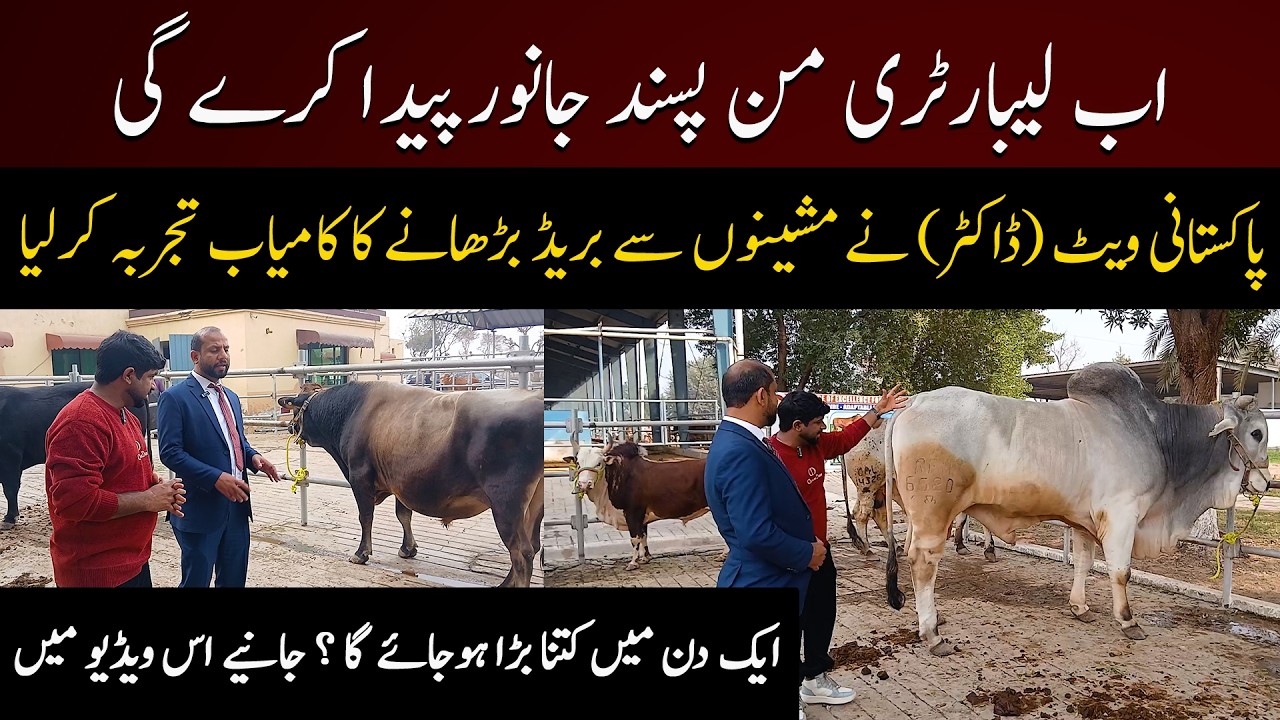 Ab Laboratory Man Pasand Janwar Paida Kare Gi