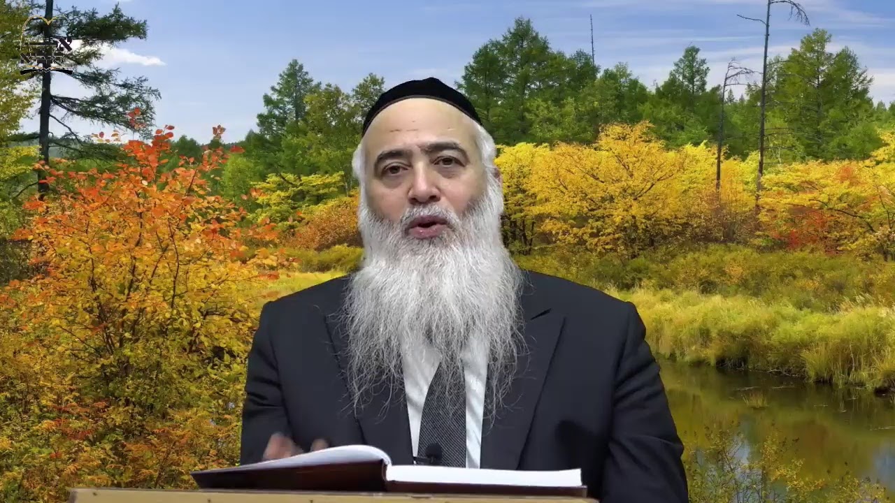 שיעורים בשידור חי יומי שיעורי תורה ברצף רבנים שונים ח כסלו תשפ''א-