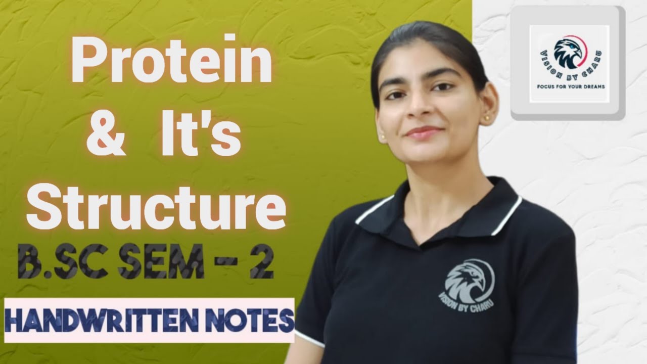 B.Sc Sem-2| What Are Proteins & Their Structures,primary,secondary,teritary,quaterinary, alpha helix