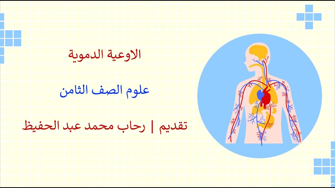 الاوعية الدموية علوم الصف الثامن|قناة المعلم المبدع