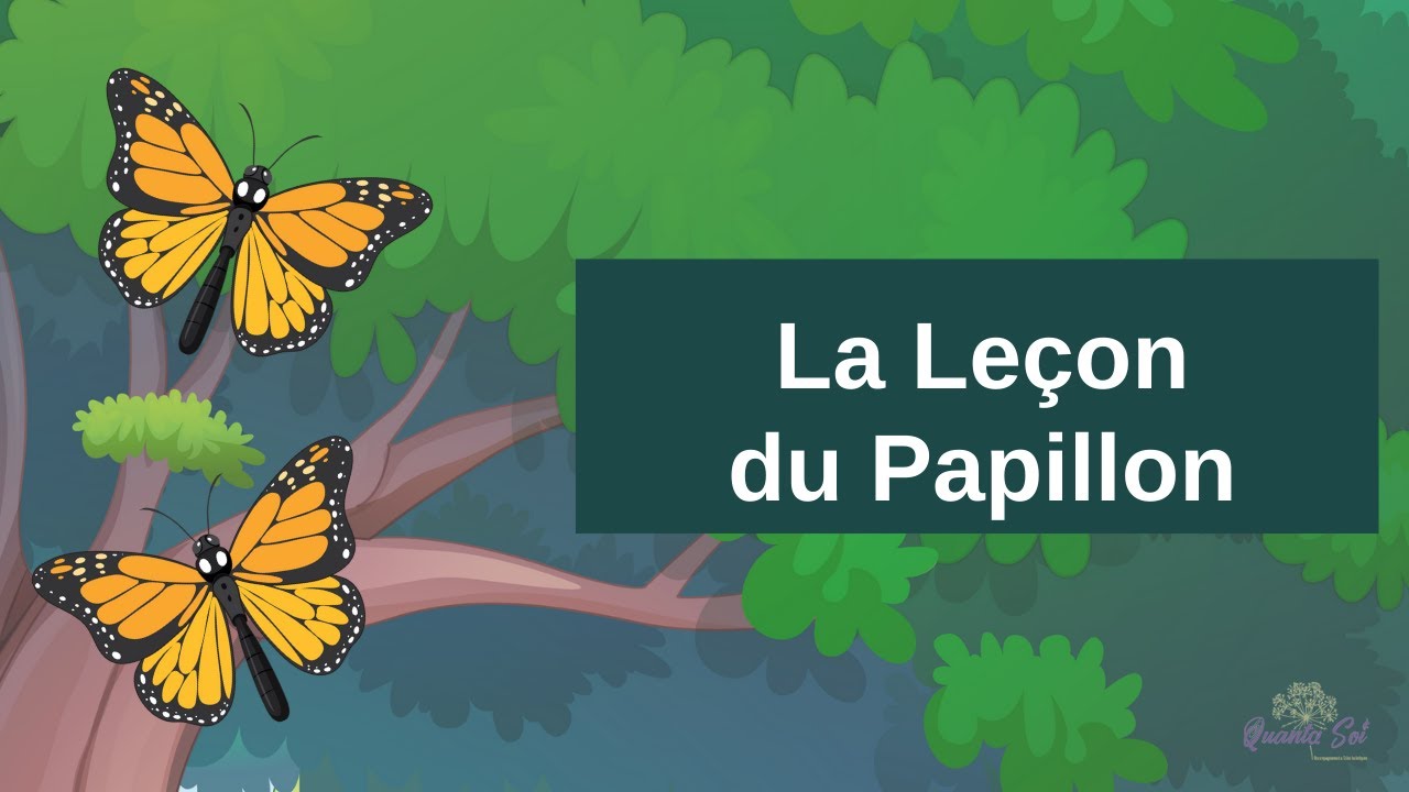 La Leçon du Papillon