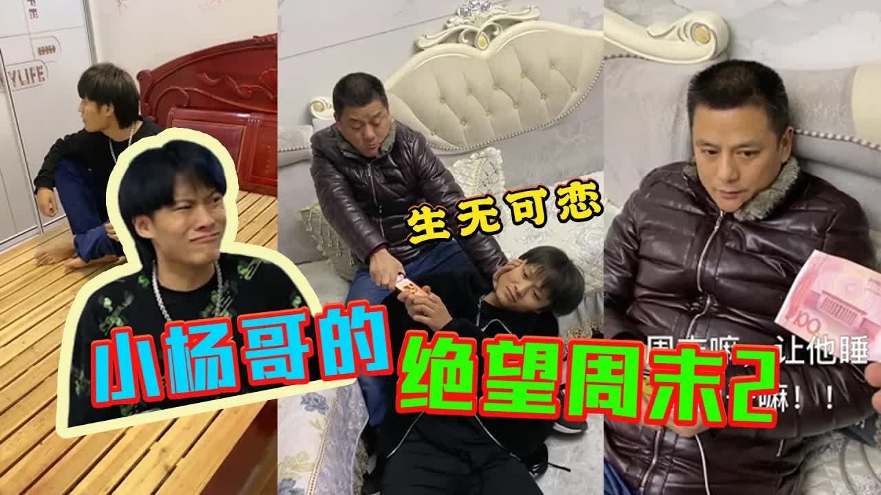 🔥【瘋狂小楊哥日常爆笑合集】一个绝望的周末，老弟一直很纳闷老爸为啥这样对他！？#疯狂小杨哥 #杨爸 #大杨哥 #小杨哥 #爆笑一家人 #小杨哥头号粉丝 #瘋狂小楊哥