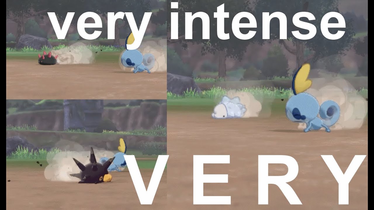 sobble vs snom, pincurchin and pyukumuku