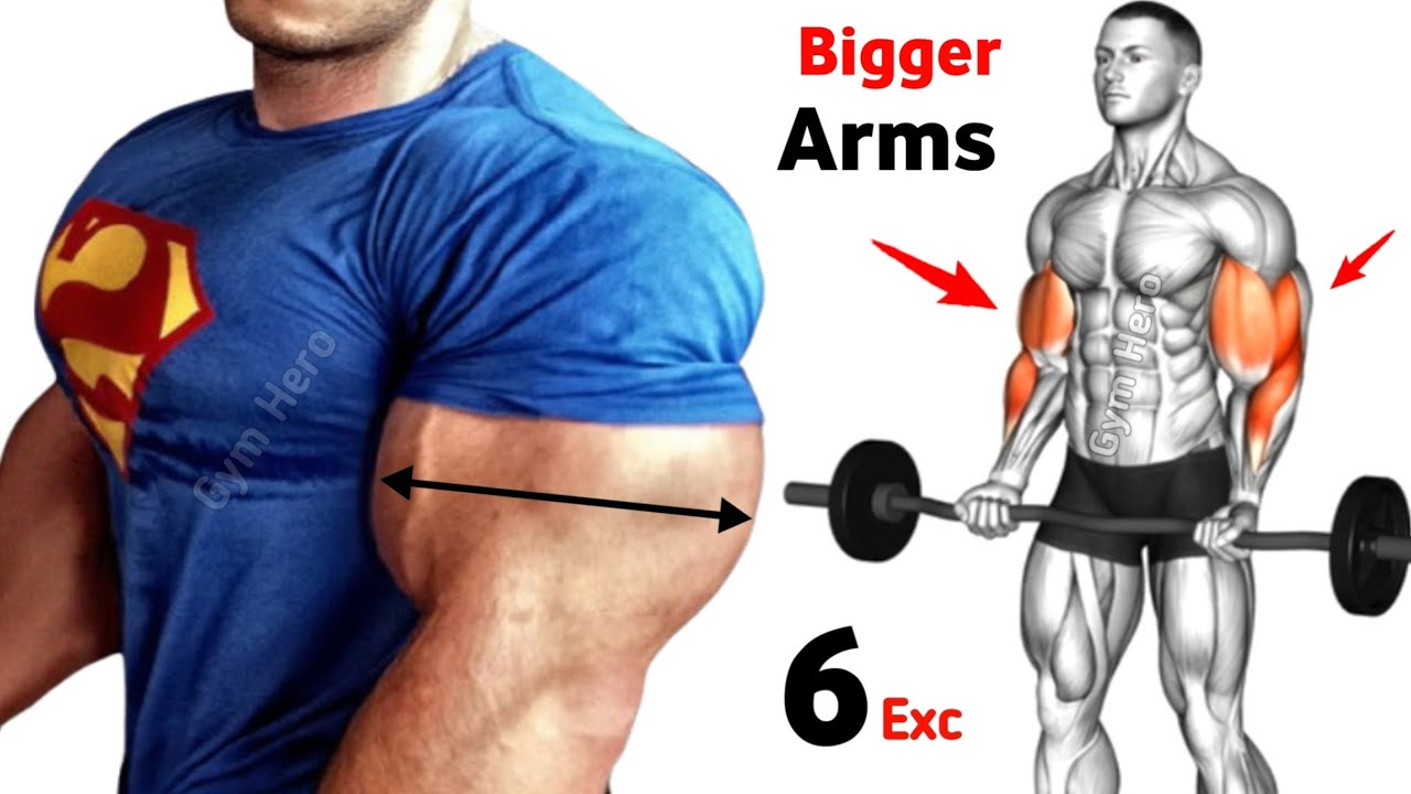 Build Bigger Arms Fast with 6 Biceps and Triceps Exercises