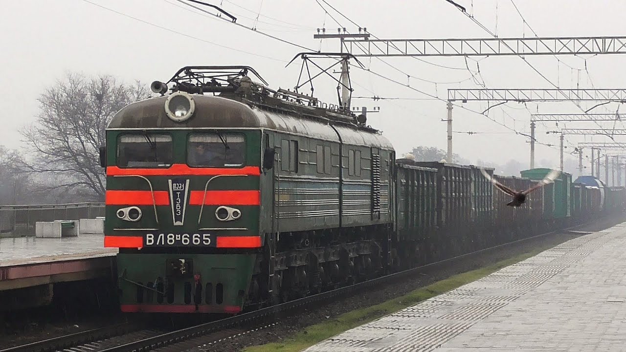 ВЛ8М-665 с грузовым поездом