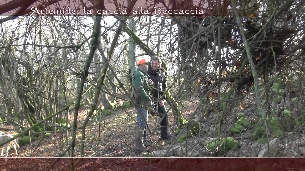 2012-2013 Puntata #12 - Bagno di Romagna - Caccia alla Beccaccia