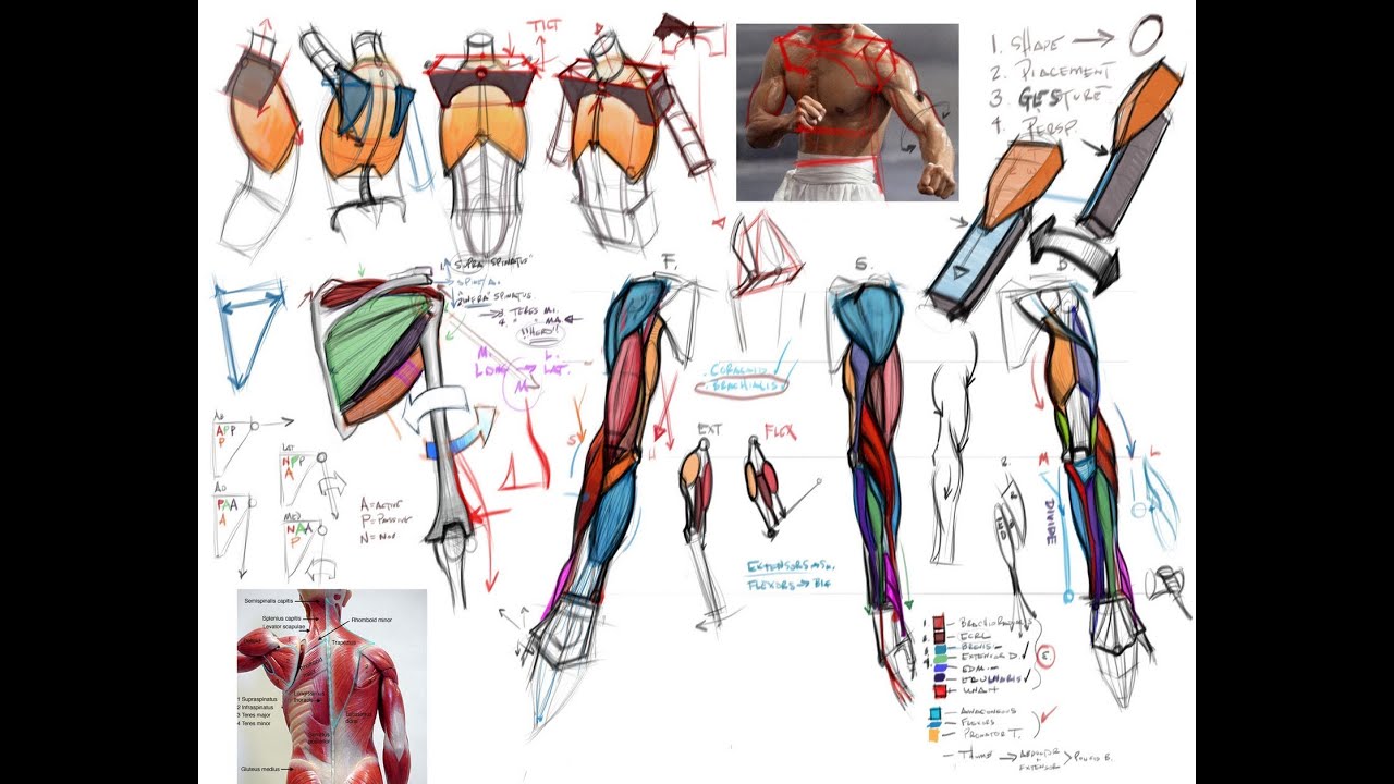 CGMA | Analytical Figure Drawing I Class with Michael Hampton