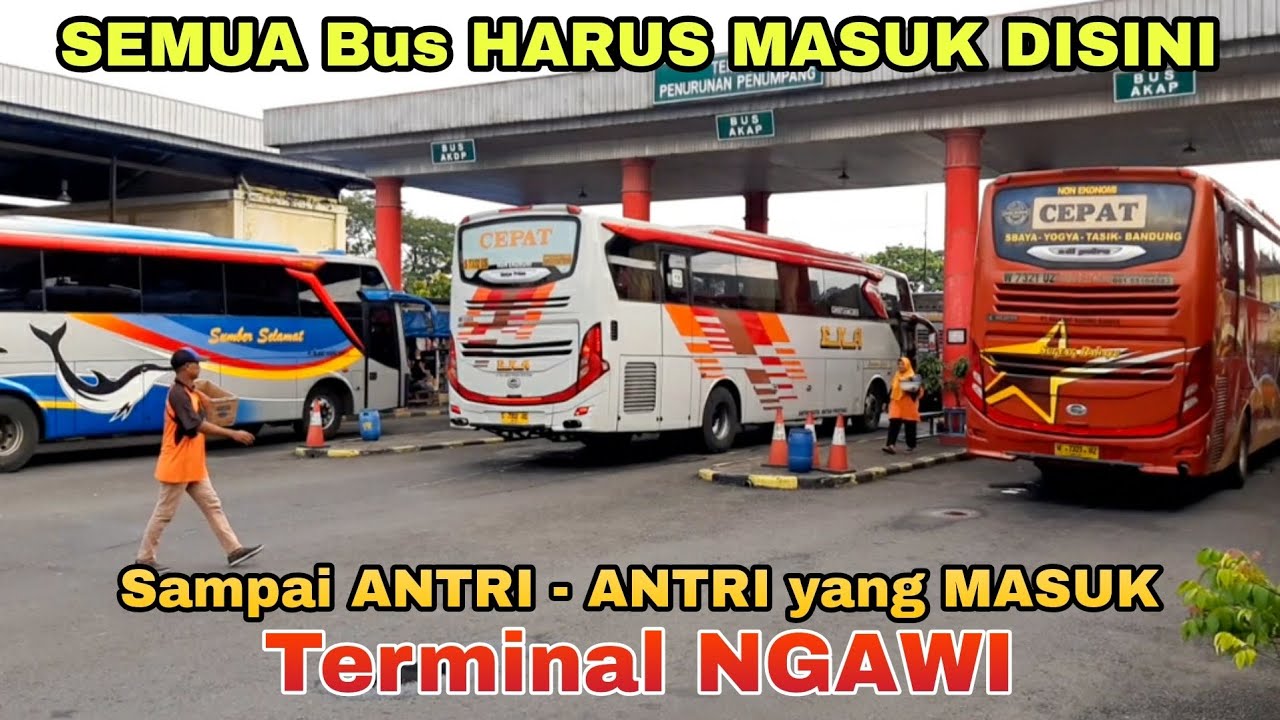 Yang MASUK Sampai ANTRI‼Semua BUS HARUS Masuk Di TERMINAL NGAWI||Sugeng Rahayu,EKA,MIRA