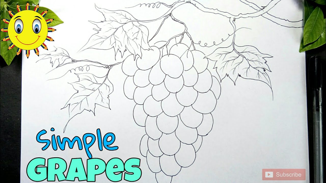 easy and simple grapes drawing, how to draw grapes fruit