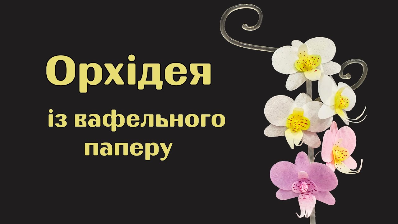 Орхидея из вафельной бумаги, для декора торта
