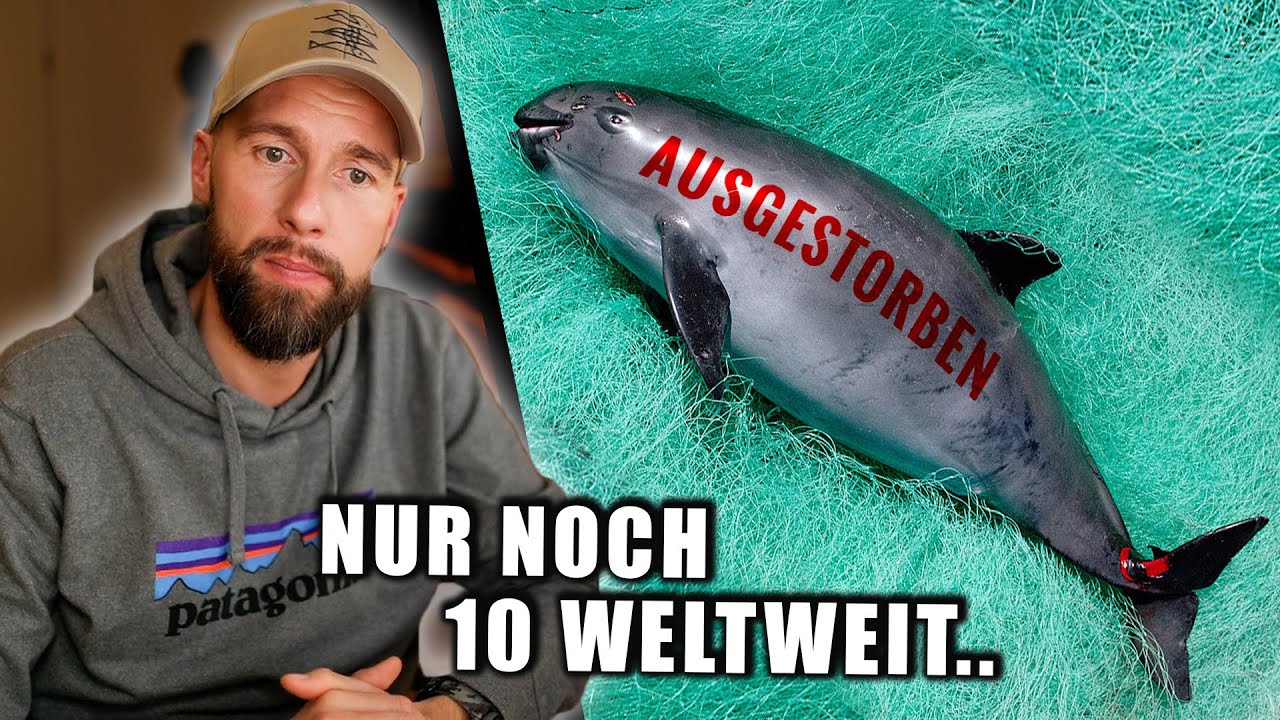 Das seltenste Tier der Erde existiert bald nicht mehr - Nur noch 10 Stück... | Robert Marc Lehmann