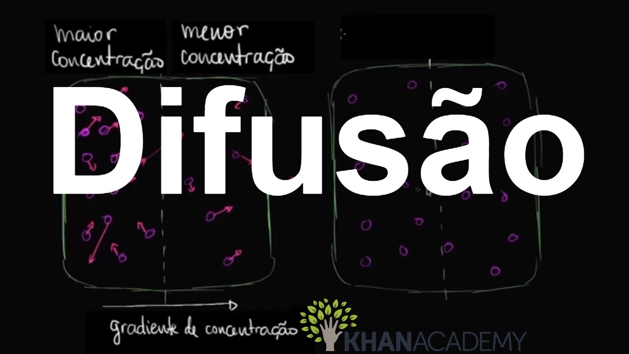 Difus&atilde;o | Membranas e transporte | Biologia | Khan Academy