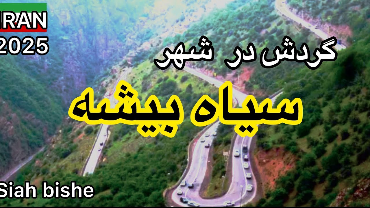 IRAN 2025 🇮🇷 Driving Tour in Siah bishe | سیاه بیشه مازندران و هفت جای دیدنی آن تیر 1404