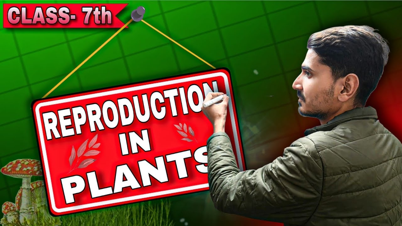 Reproduction in Plants - One Shot Full Chapter Revision | Class-7th Science 