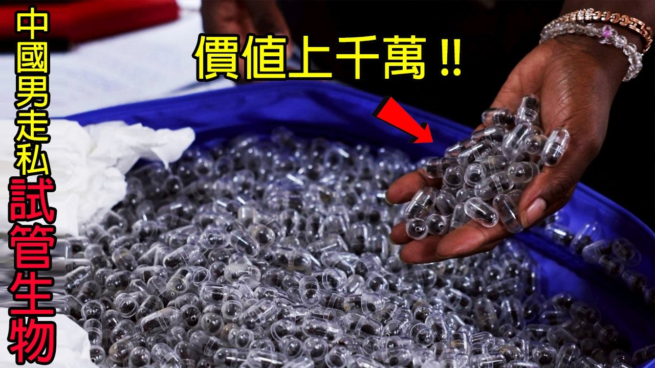 [生物放大鏡] 今年最大宗! 行李箱藏兩千隻生物 !  | 貴的離譜的巨頭生物 |  衛生紙走私法