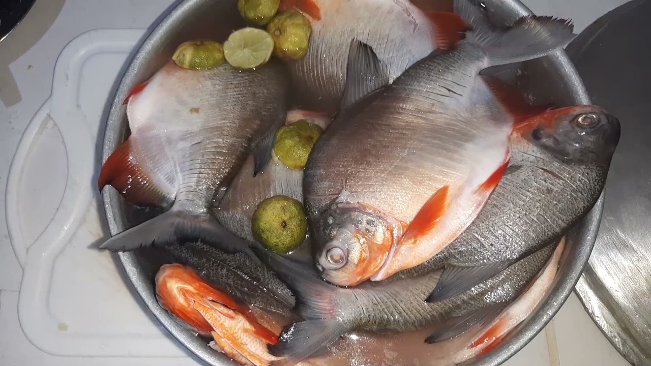 CACHAMA SUDADA PLATO TIPICO COLOMBIANO