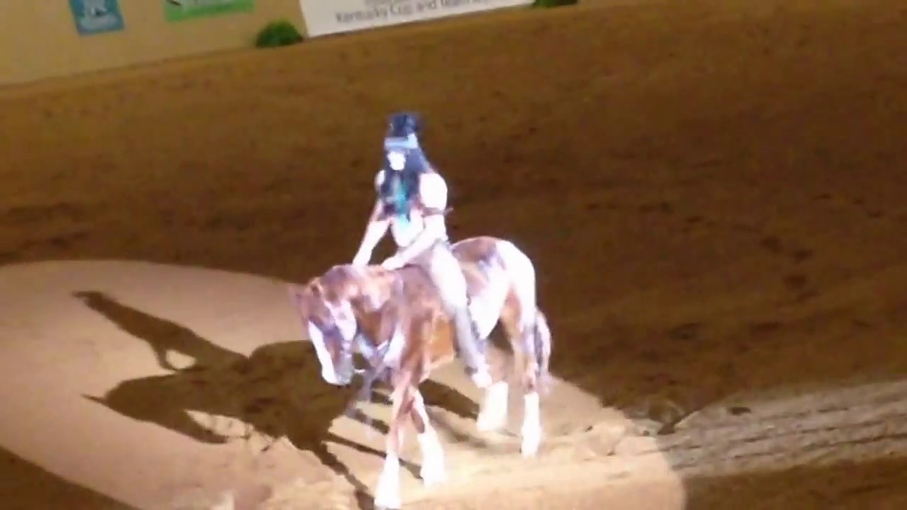 Dan James and Rio's Winning Ride at the Kentucky Reining Cup