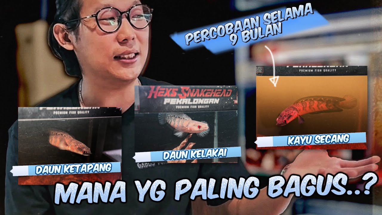 Progress baby Channa selama 9 bulan, ternyata begini hasilnya..!!