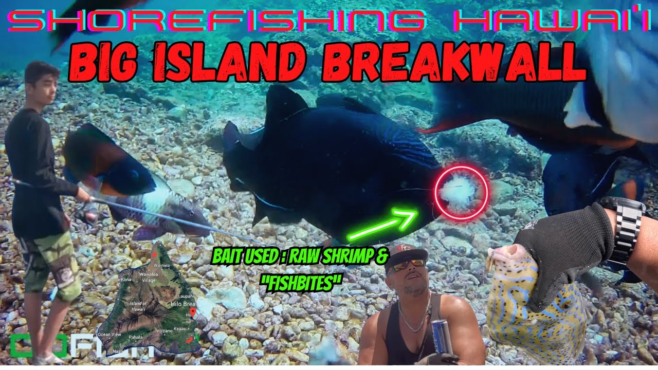 SHOREFISHING HAWAI'I: HILO BREAKWALL ✈️🎣😮 
