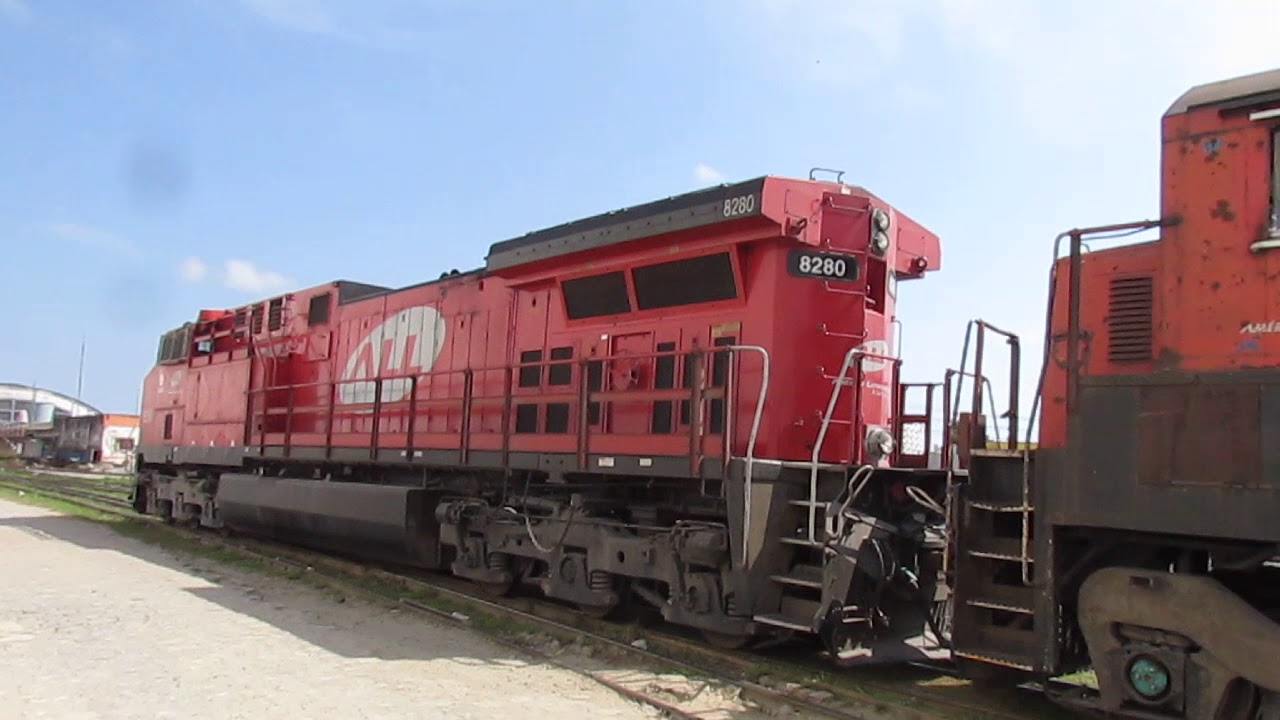 Trem carregado chegando no Porto de Santos