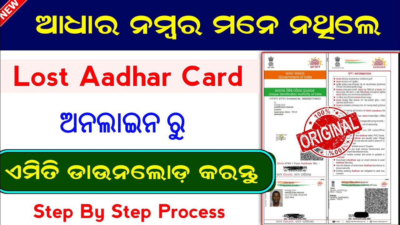 How To Find Lost Aadhar Card Number By Name In Online || Lost Aadhar Card Download In Online Odia