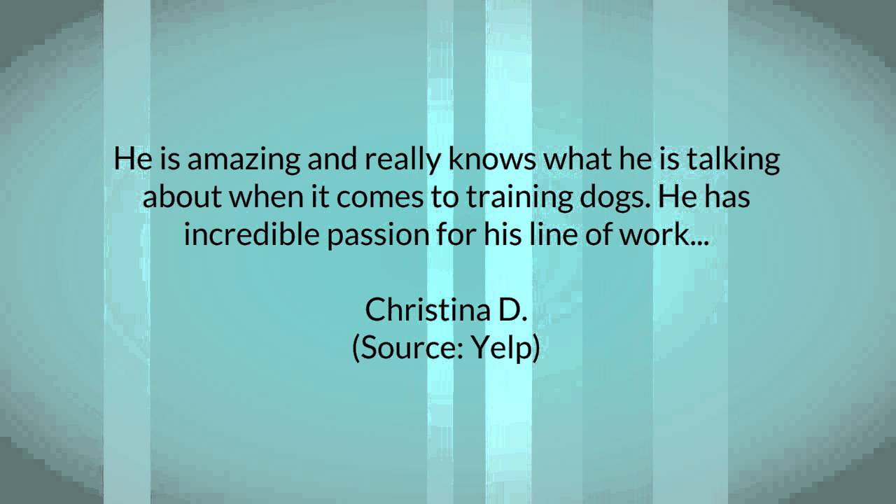 Falco K9 Academy Reviews - 714-990-9010 - Reviews of Falco K9 Academy