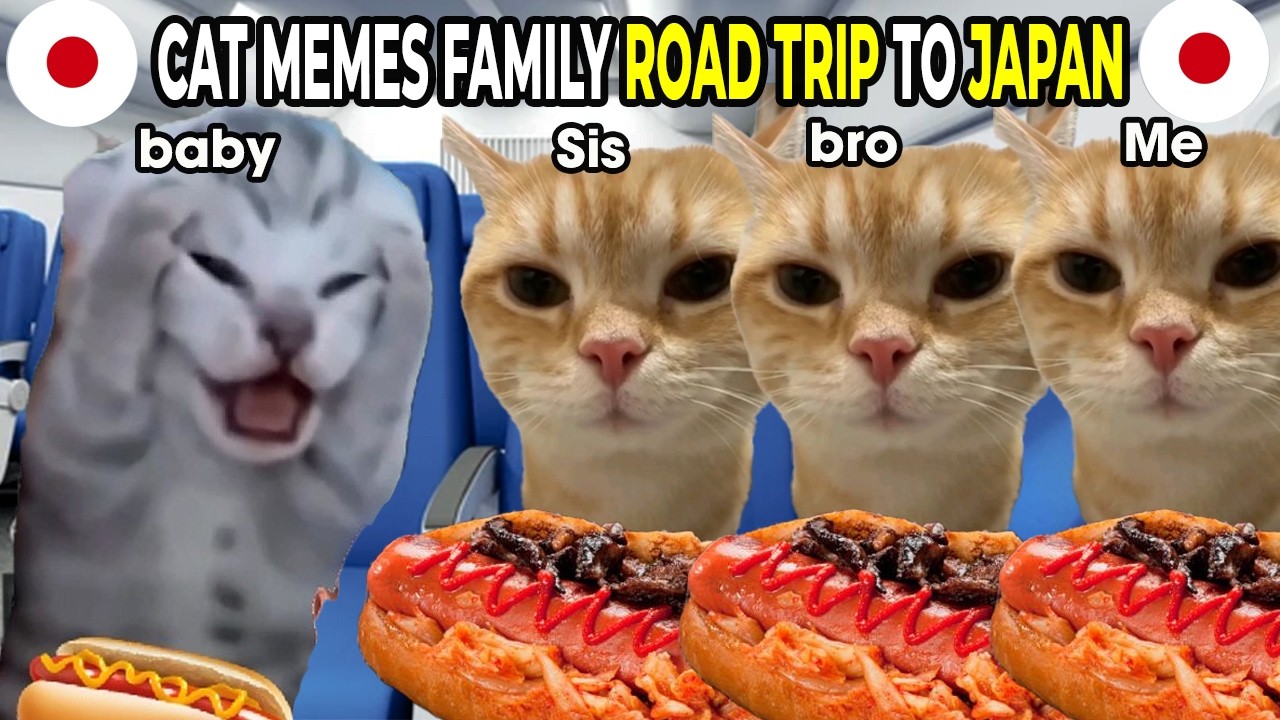 CAT MEMES FAMILY ROAD TRIP TO JAPAN