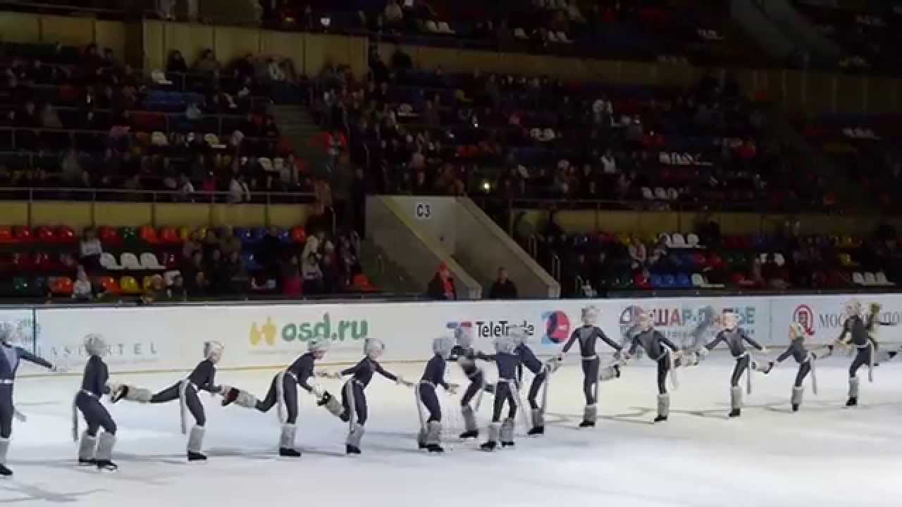 13 кошек на льду