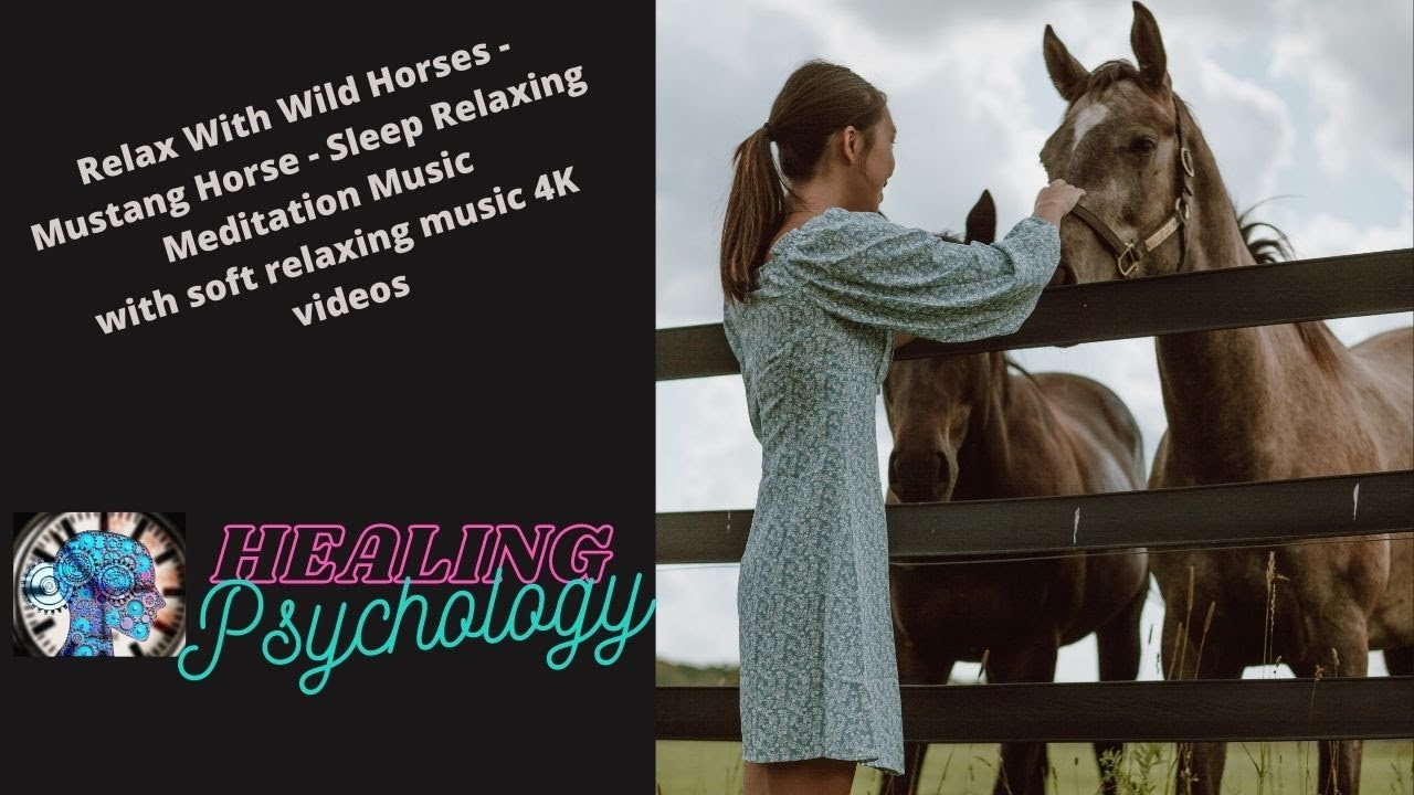 Relax With Wild Horses - Mustang Horse - Sleep Relaxing Meditation Music #Relaxinghorsesvideos