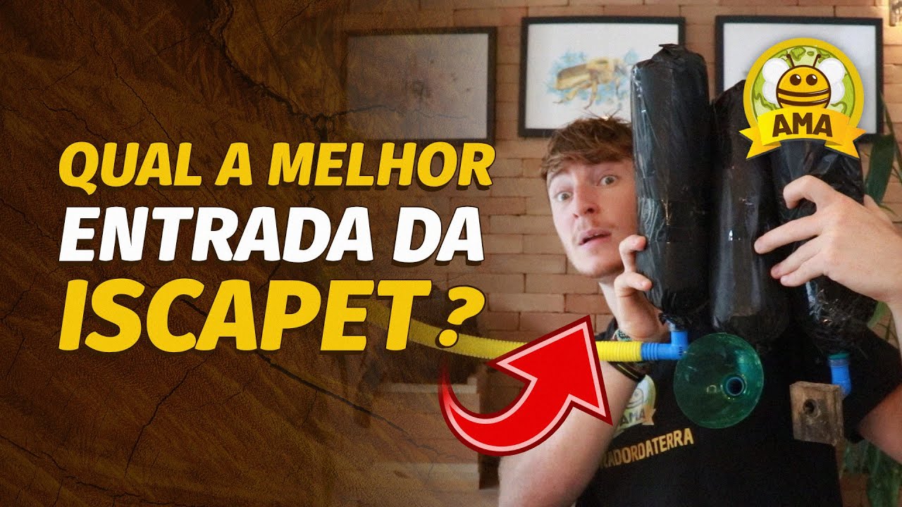 A MELHOR entrada para TURBINAR sua ISCA PET!