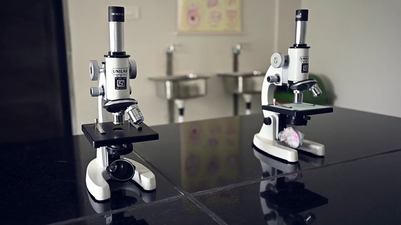Composite Science Lab | International Academy Of Scholars