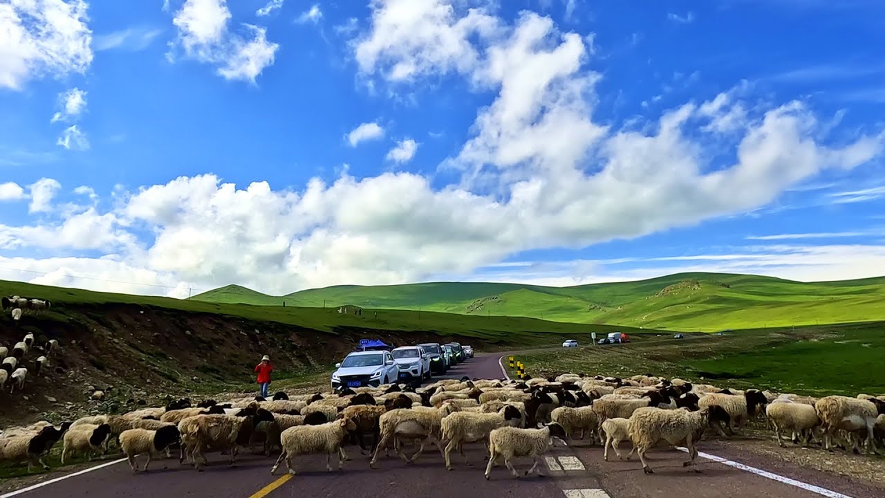 【4K】Мотоциклетный тур по Западному Китаю 51:Байинбулак - Налати, самое красивое шоссе в Китае.