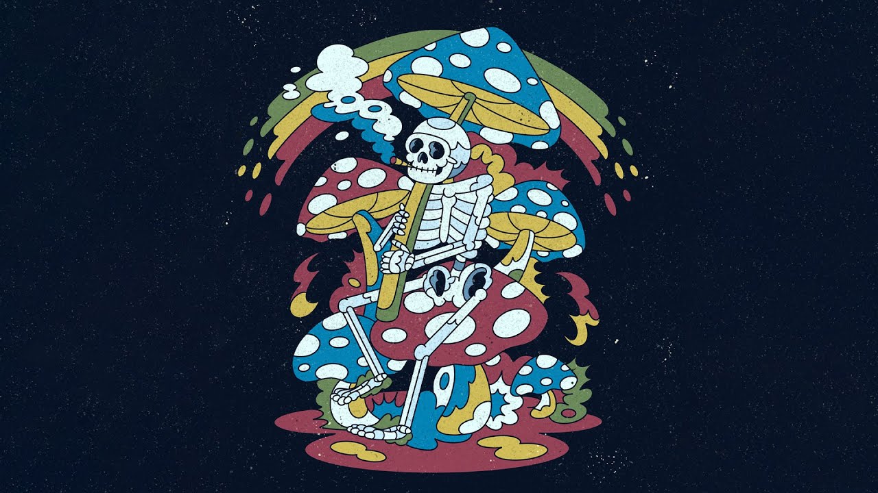 Ship Wrek & Disco Lines - Where Do I Belong?