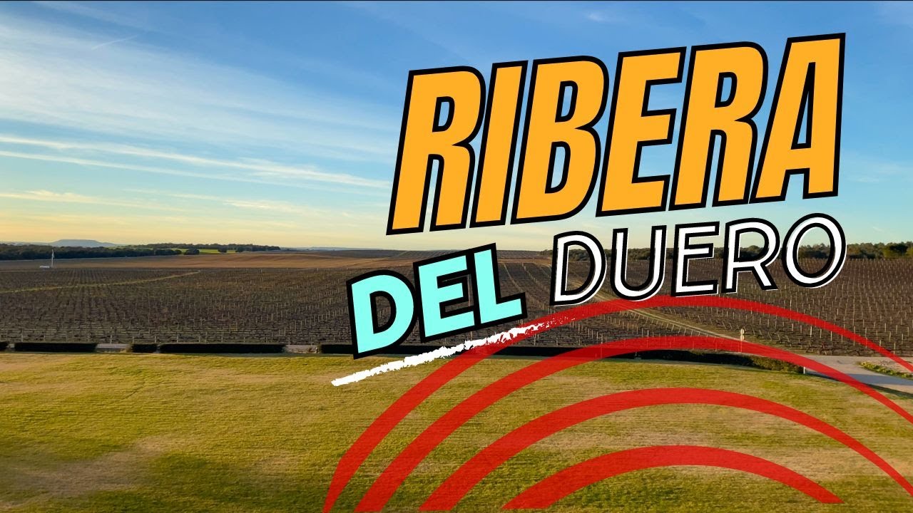 Ribera del Duero: Villages and Wines!
