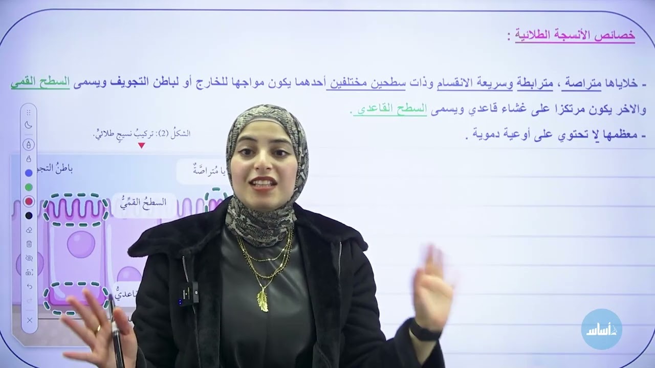 الأنسجة الطلائية