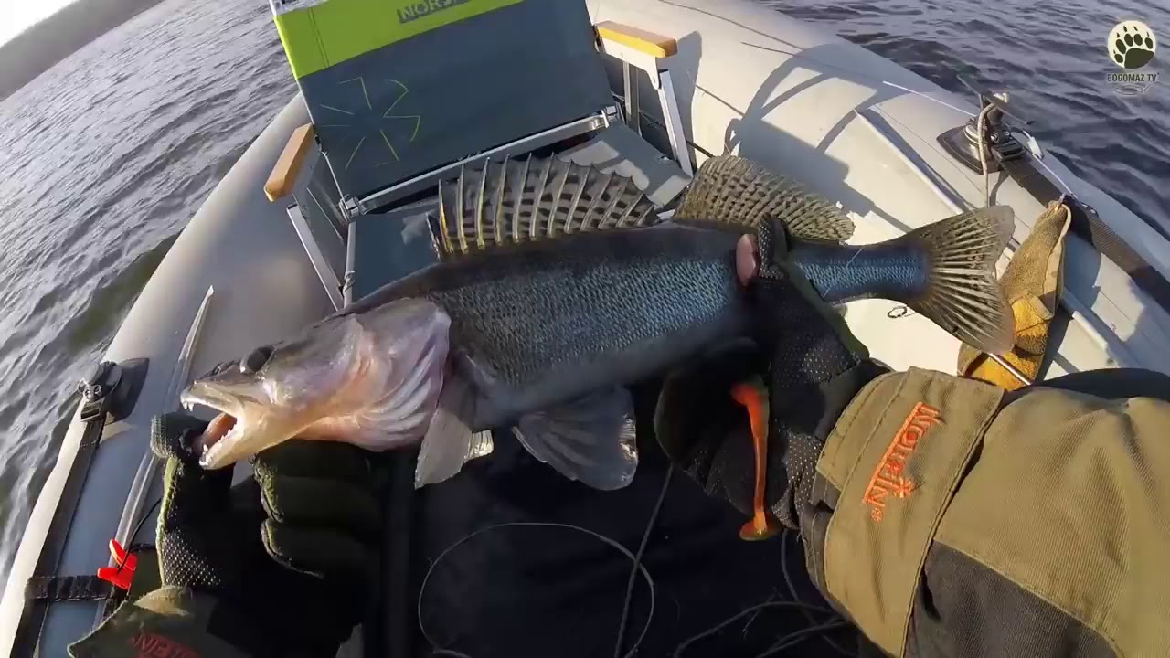 Силикон Mikado Angry Cray Fish и Mikado Fishunter TT. Рыбалка с ночёвкой на хищника.