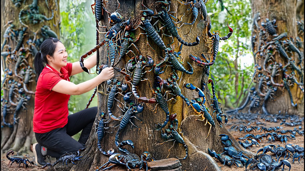Harvesting Giant Primitive Scorpion & Go to Market Sell | Real Rescue Scorpion from Honeycomb