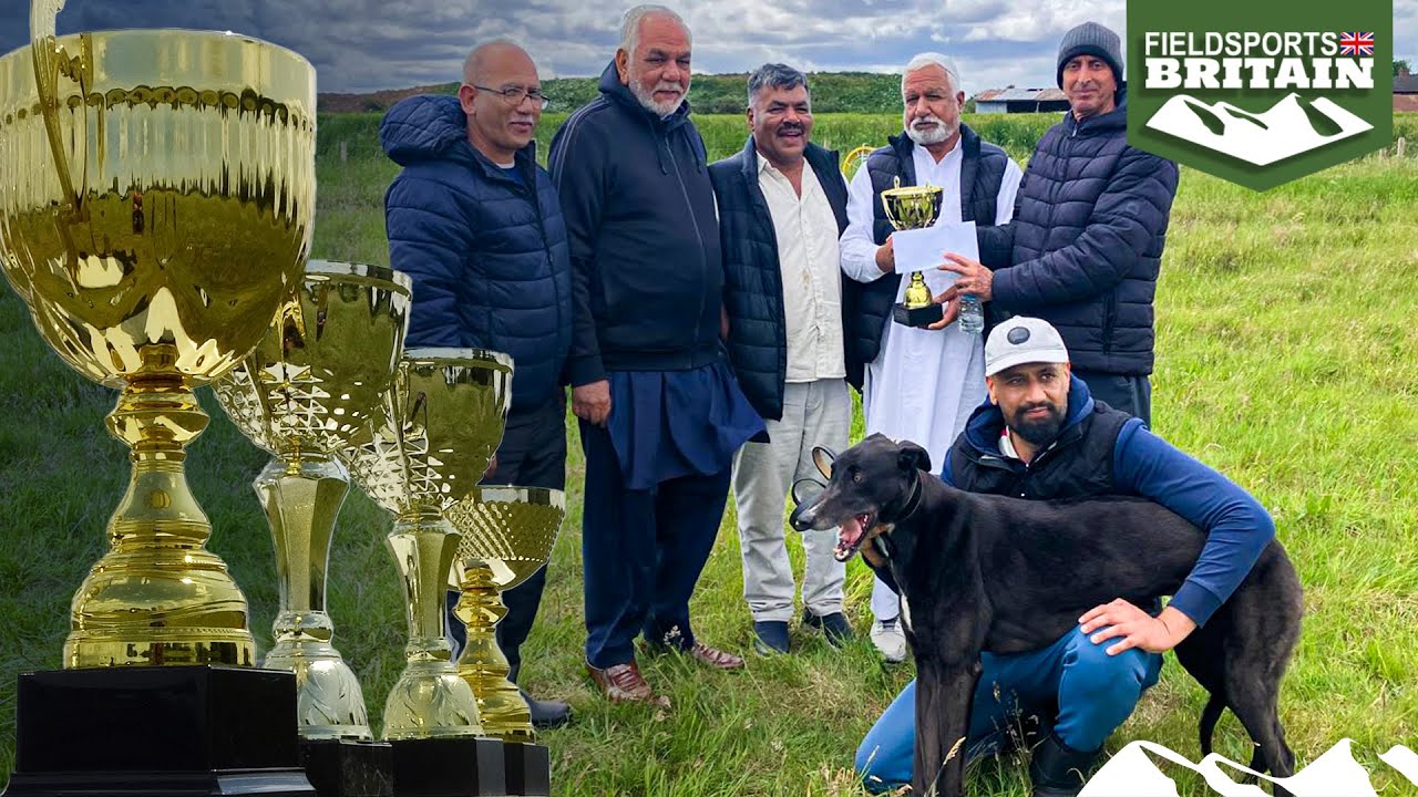 Backyard greyhound racing – the spirit of coursing