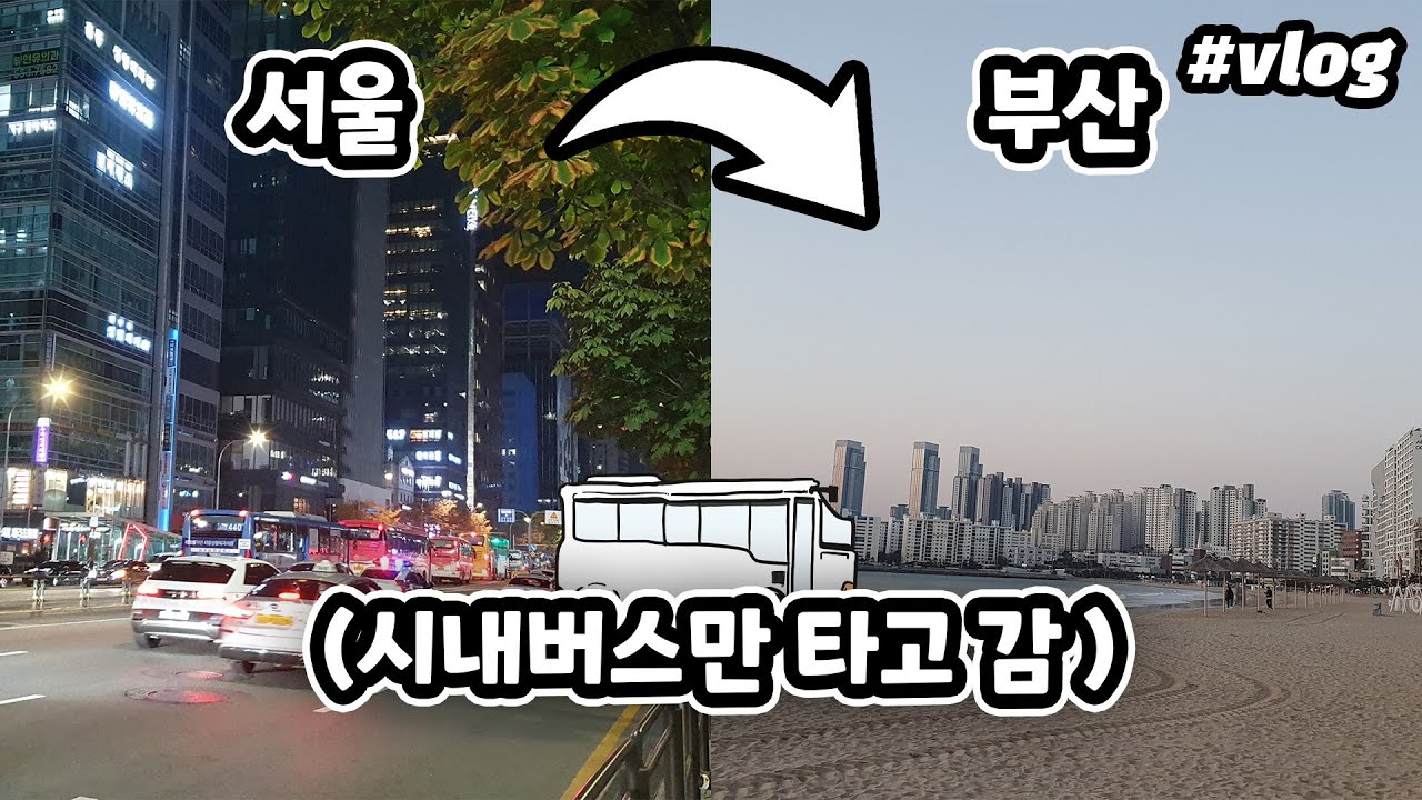 하루 안에 서울에서 부산까지 시내버스만 타고 가봤다