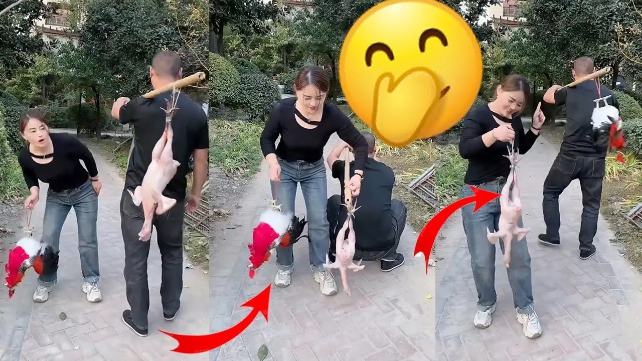 You can eat meat again for dinner today😺😍Chinese Funny clips daily Part50