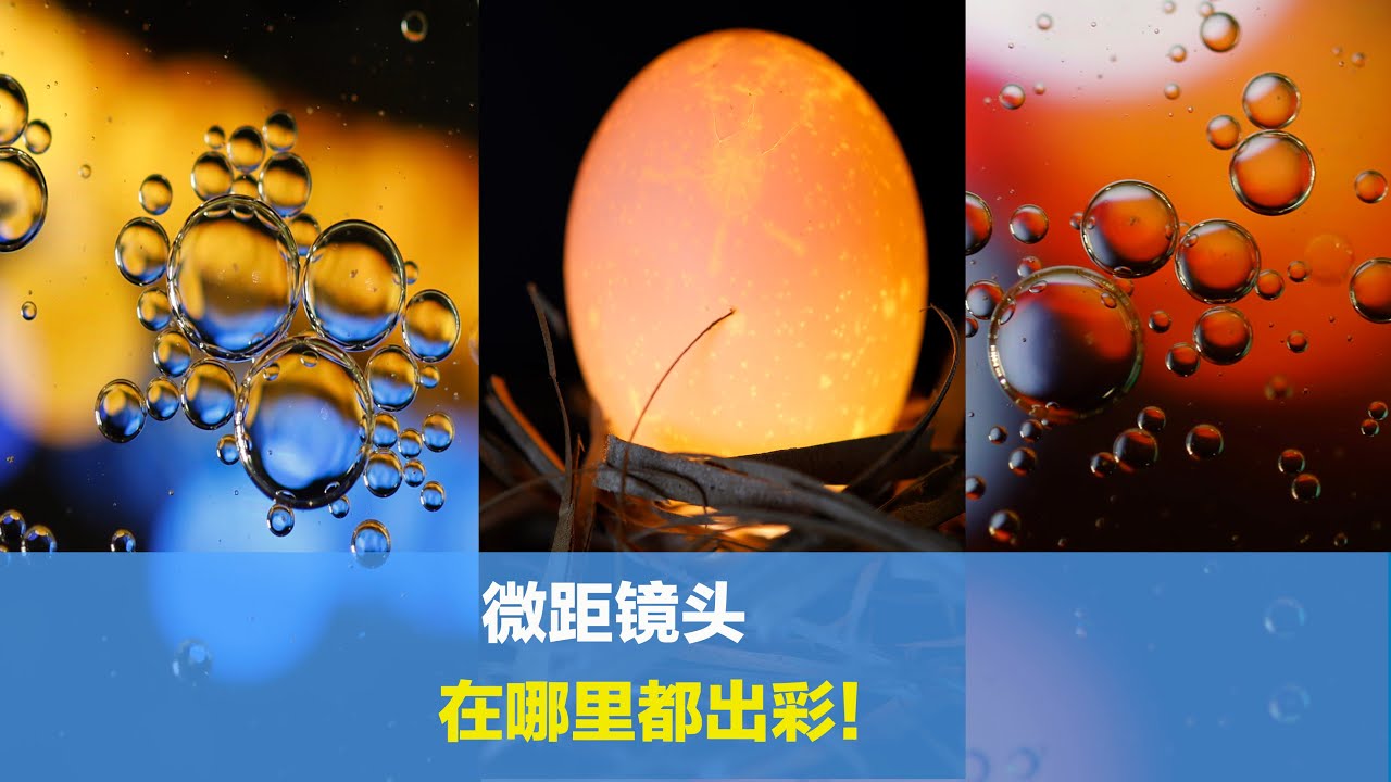 微距镜头在家怎么玩？不用布光也能让照片出彩，分享拍摄整个过程