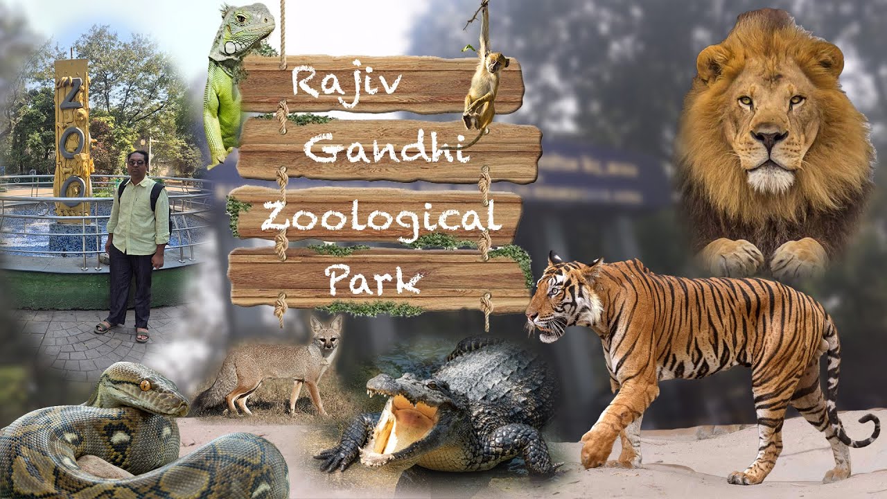 Rajiv Gandhi Zoo Pune | Katraj Zoo Full Tour | Peaceful Place in Pune
