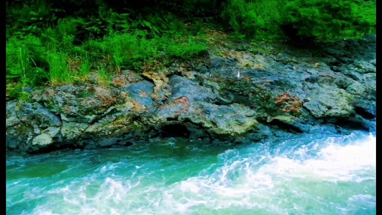 Serene River Ambience ASMR Nature Sounds White Noise for Deep Relaxation