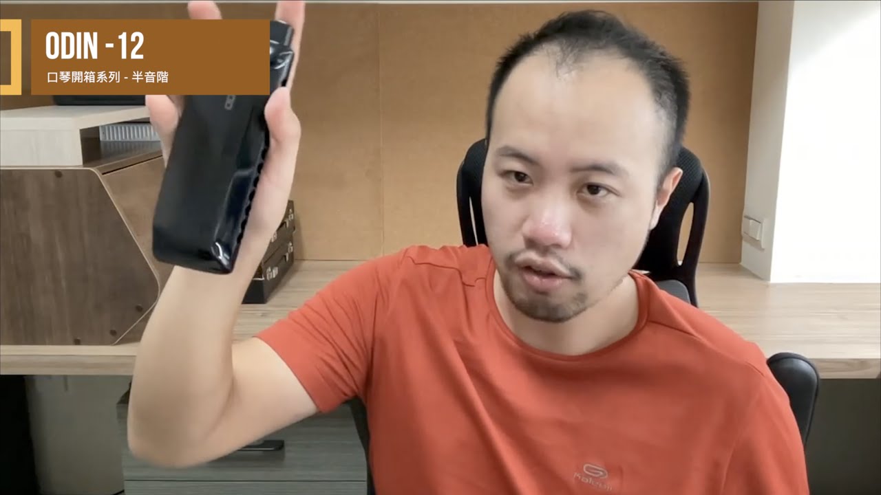 『評測』超值入門款半音階口琴？台幣1500元 小海盜 ODIN-12 開箱測試