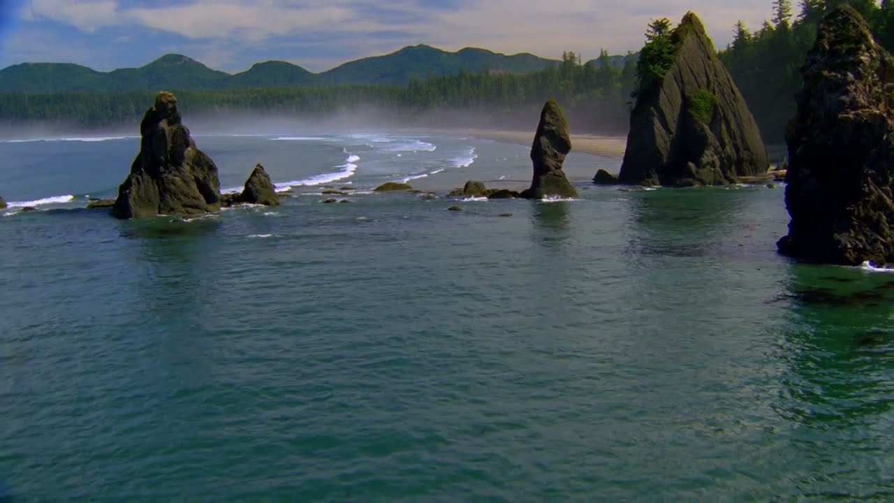Forests film by Louie Schwartzberg, music by Colin Farish