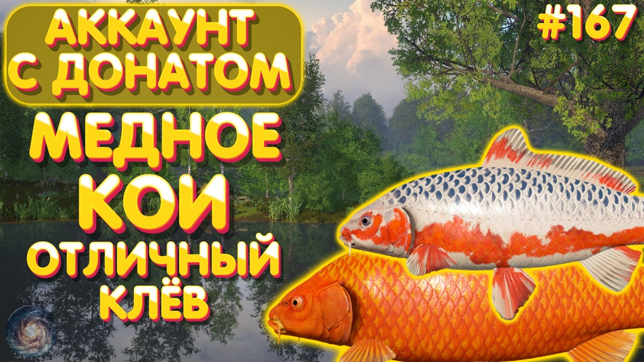 Аккаунт с донатом #167 | Медное - Кои | Отличный клёв | Русская Рыбалка 4